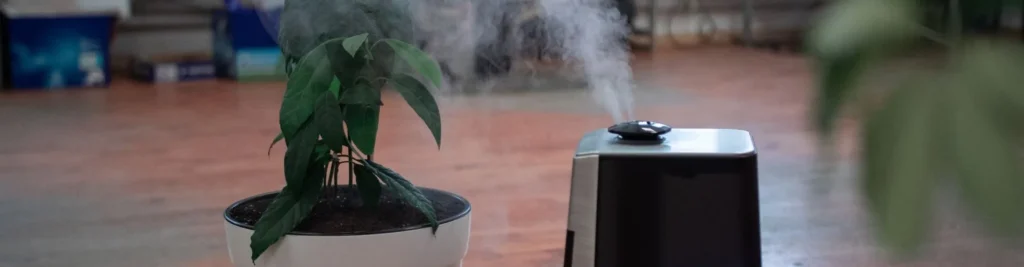 Amenez l’air pur chez vous grâce au filtre charbon actif